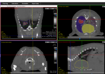 Intuitive Advanced Radiation Planning for SARRP using SmART-XPS