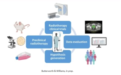 Reversing the Translational Research Paradigm in Preclinical Radiotherapy Studies