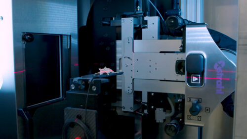 SPOTLIGHT: Behind the Beam: Tips, Tricks, and Translational Research from the Karolinska Institutet X-ray Irradiation Core Facility