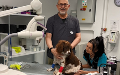 Oberflächliche Strahlentherapie (SRT) in der Onkologie kleiner und exotischer Tiere, Dr. Rodney Ayl